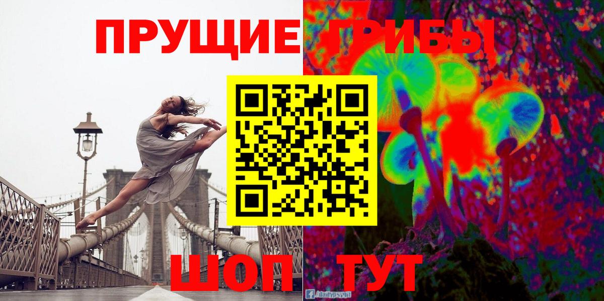 Псилоцибиновые грибы Psilocybine cubensis Магнитогорск